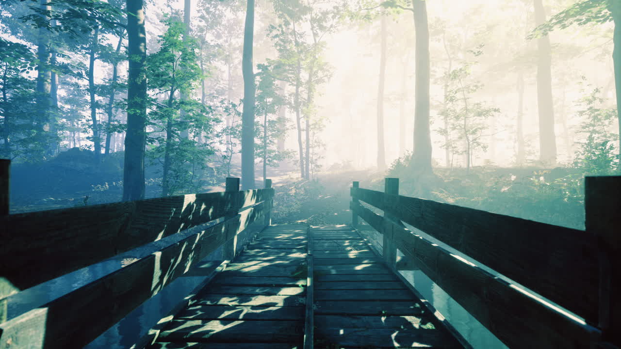 Misty wooden bridge in a serene forest landscape during early morning light