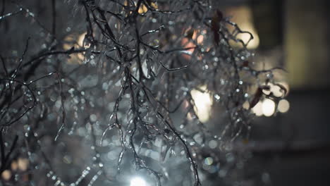 close-up of bare tree branches coated with ice and frost, shimmering in soft light with a blurred glowing background, highlighting intricate frozen textures and a serene winter evening atmosphere