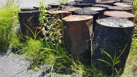 Panning-showing-a-group-of-old-metal-barrels-arranged-in-rows-with-vegetation-growing-around-them