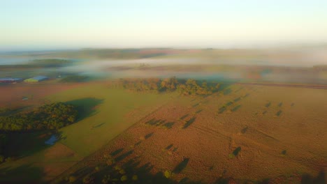 early morning mist, grasslands, rainforest and pine trees just after sunrise