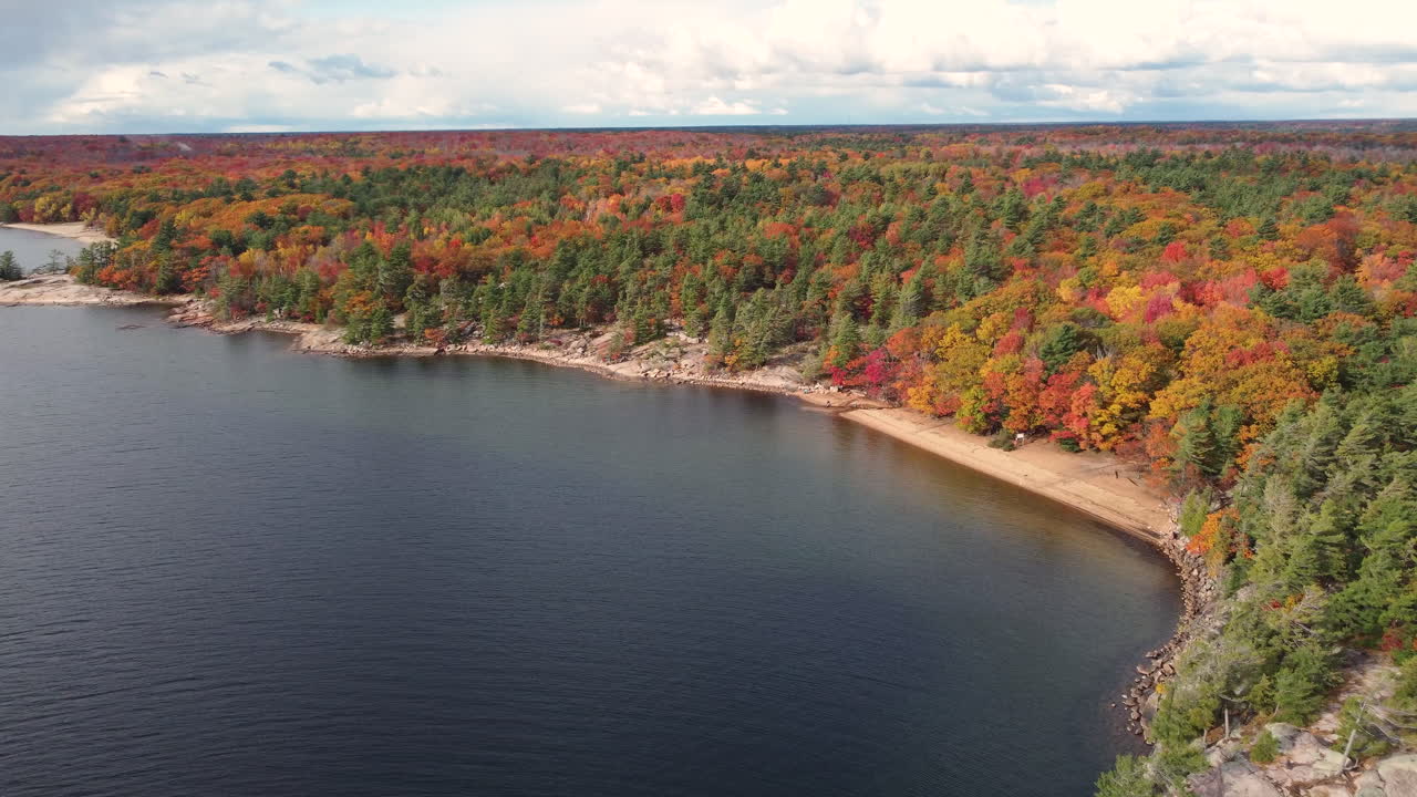 paso elevado panorámico de drones hermoso bosque y lago en canadá