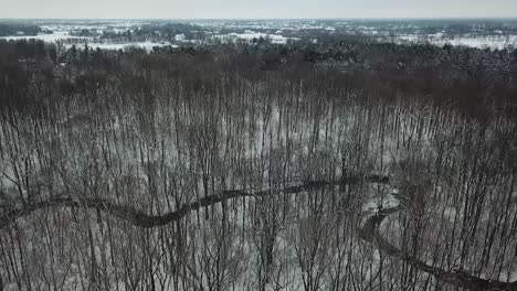 Drone-footage-of-trees,-snow-and-creek