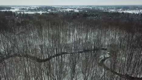 drone footage of trees, snow and creek