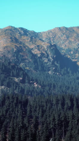 a stunning view of a mountain range with a dense forest of pine trees