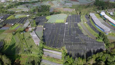 aerial view indoor farming