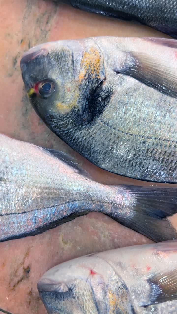 pescado fresco en el mercado