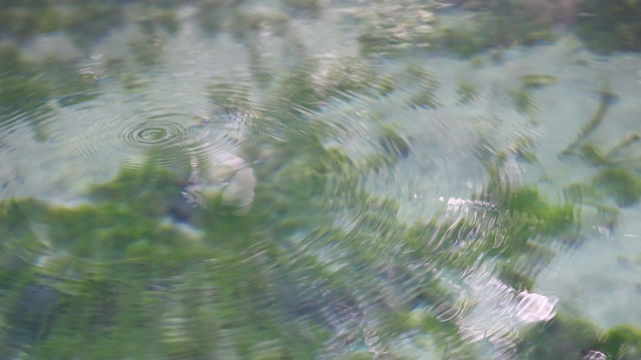 은 물 속의 파동