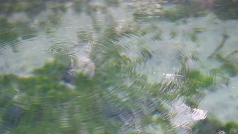 ondas en el agua clara del manantial