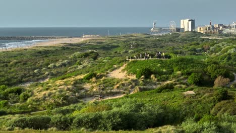 dutch coastal landscape with city view