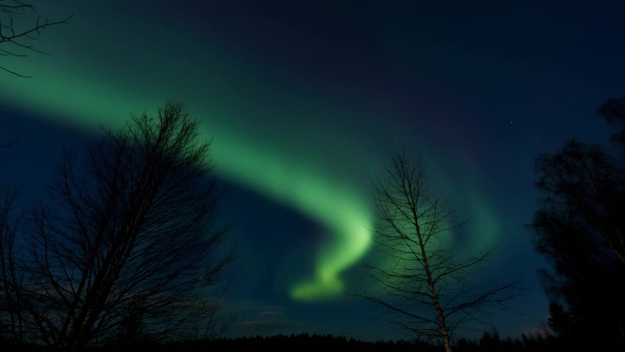 Sagome di betulle spoglie e alberi decidui incorniciano un ampio orizzonte rurale mentre il bagliore aurorale si illumina, si concentra e si ammorbidisce attraverso il cielo crepuscolare che si intensifica in un calmo paesaggio invernale, con aurora luminosa.