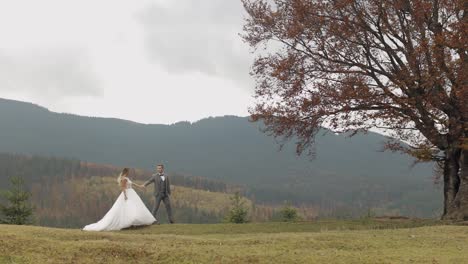 lovely caucasian wedding newlyweds family bride groom walking, holding hands on mountain slope hill