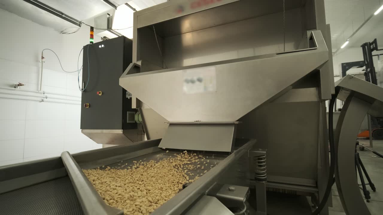 tostado de maní. operaciones de clasificación en la fábrica de nueces. línea de producción de envases de maní tostado