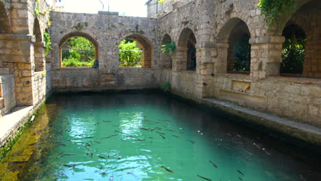 tvrdalj castle in starigrad , croatia