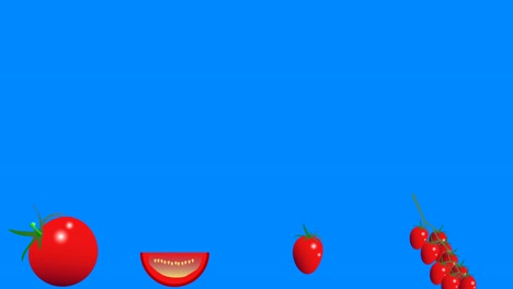 tomatoes group graphic elements animation, seamless loop, blue screen chroma key