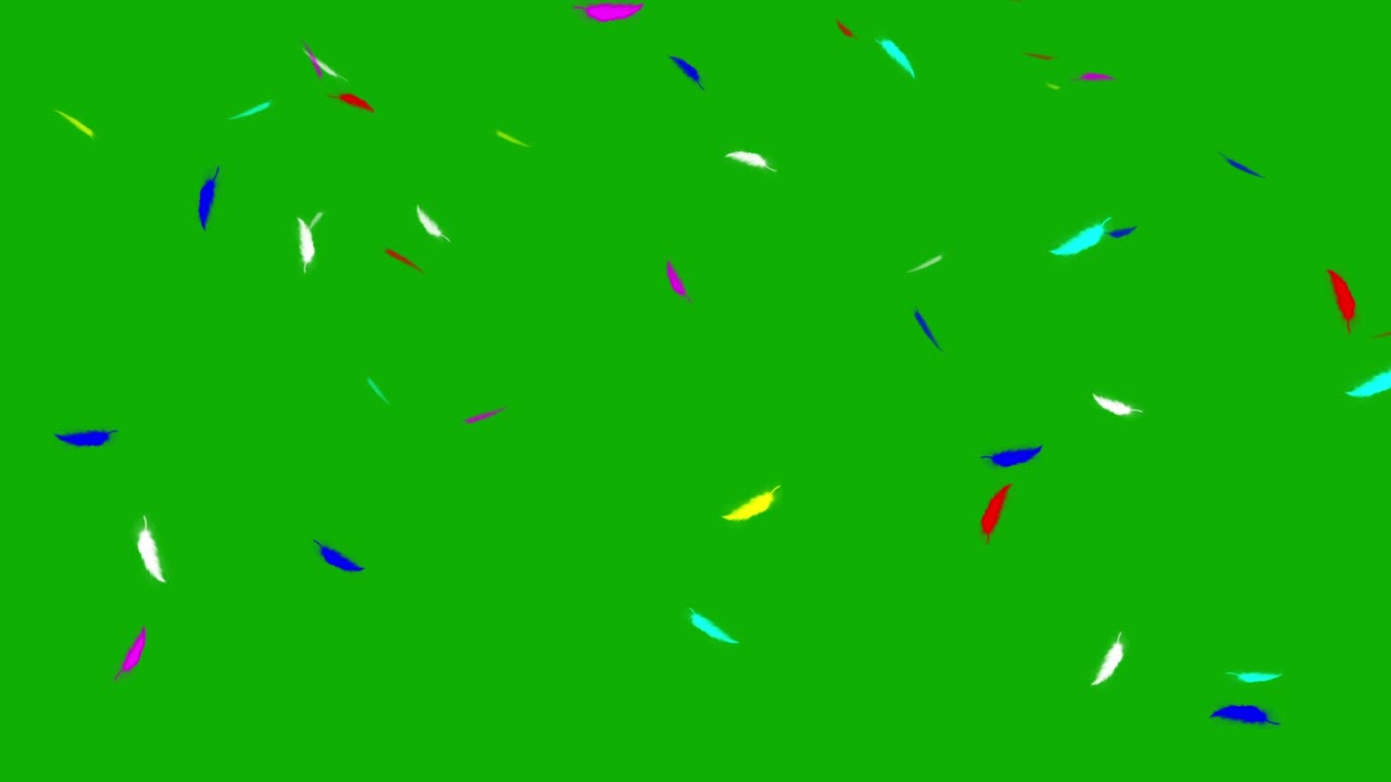 Grafica in movimento di piume che cadono con sfondo a schermo verde