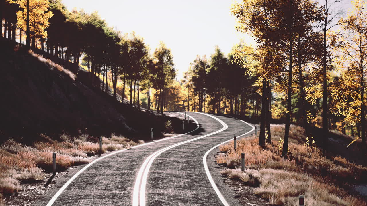 해가 지는 길과 노란색 산 숲