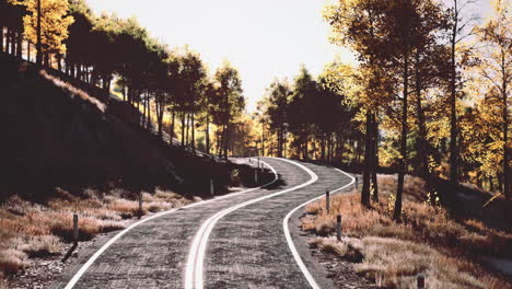 carretera y bosque de montaña amarillo al atardecer