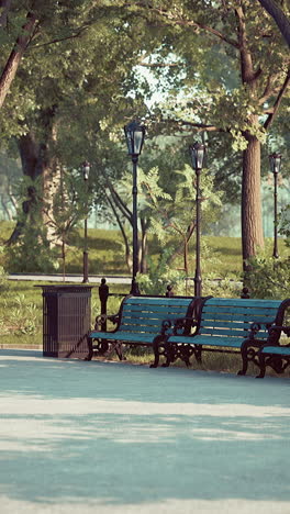 serene park scene with benches and lampposts