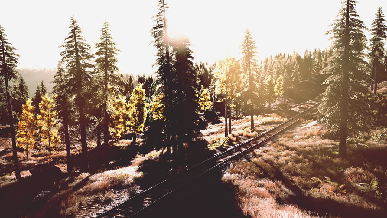 las vías del tren a través de un bosque al atardecer