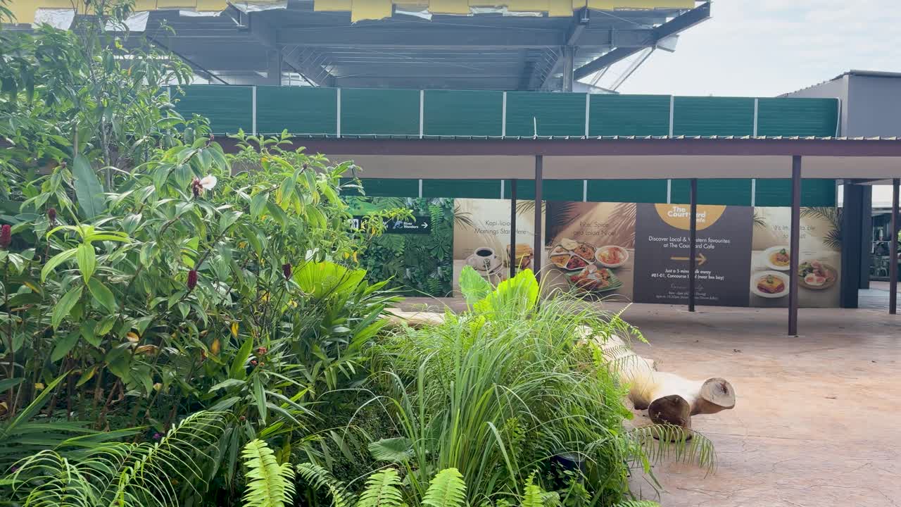 En langsom panorering afslører en moderne udendørs gårdhave, caféindgang og frodig tropisk beplantning.