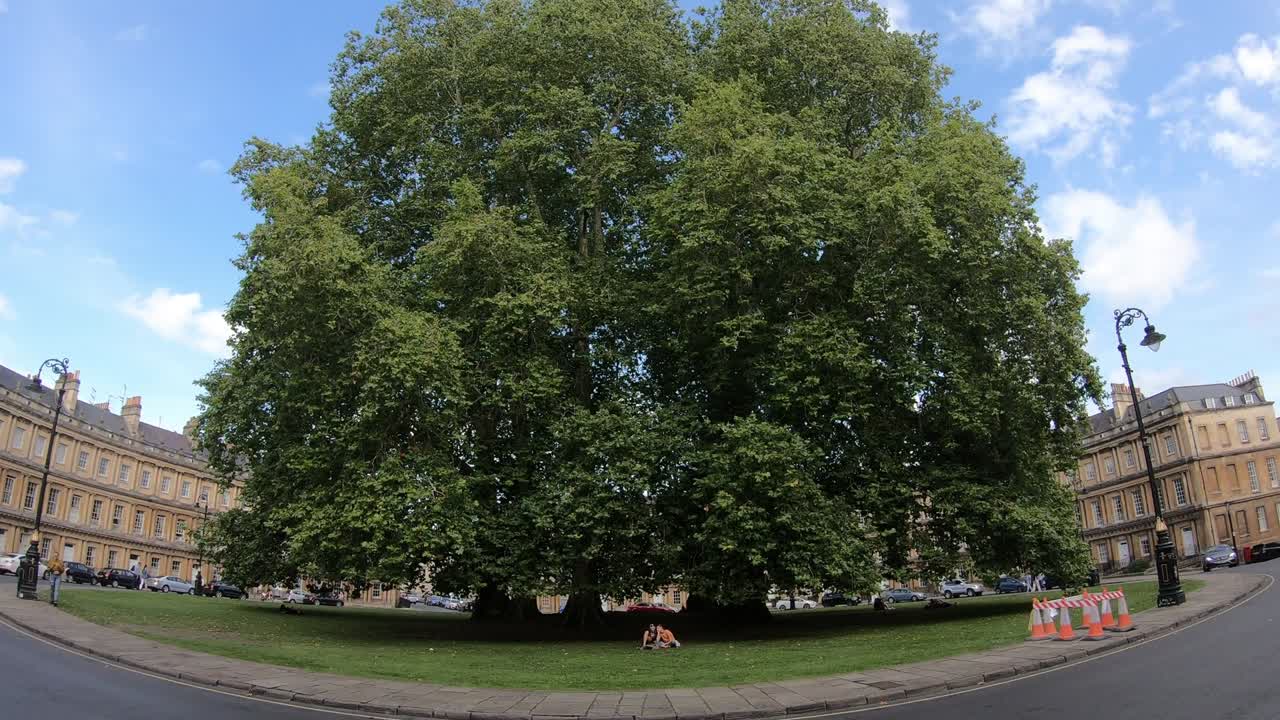 타임스 영국 바스의 서커스의 일반적인 모습