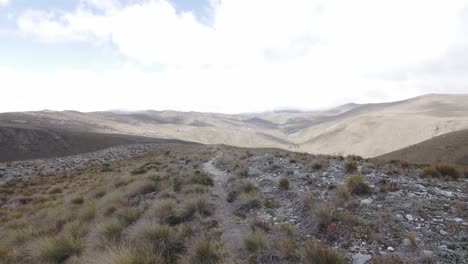 Colombian-Paramo-Santurban-wide-Shot