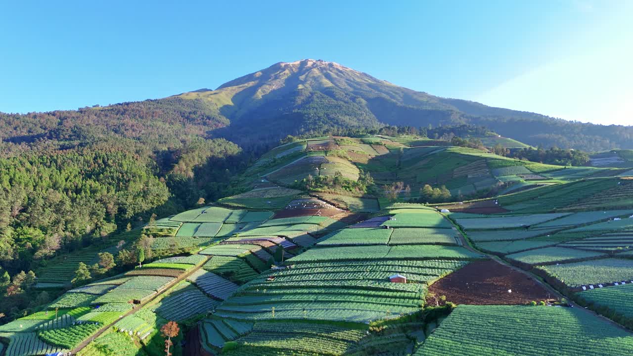 Beautiful aerial panorama of green farmland and terraced hills at the foot of a volcano. A stunning view of agriculture blending seamlessly with mountain nature