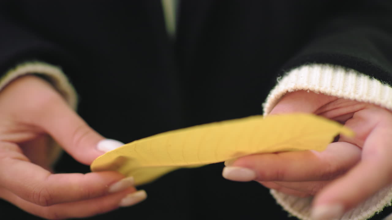 Hand view of woman in winter coat holding yellow leaf, gently feeling texture between fingers, soft bokeh background, cozy sweater cuffs, careful touch, nature study under warm daylight