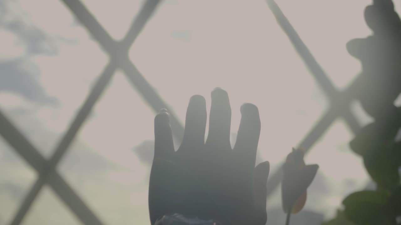 싱가포르 만 옆 정원의 구름 숲에서 따뜻한 햇빛을 느끼는 사람의 손