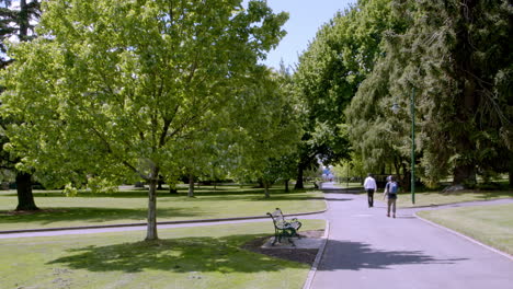 people walking on road in the middle of the city park with shady trees