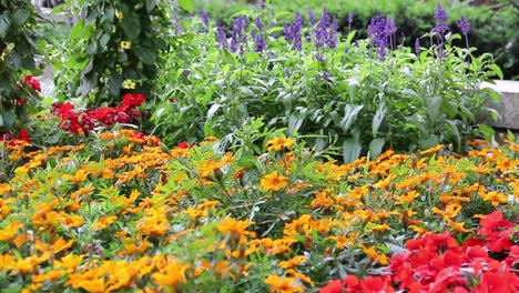 a public flower bed on a sunny day in cologne, germany