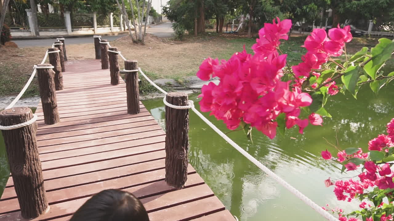 Dolly clip of a two year old Asian boy at the park enjoying feeding bread to the fish in an outdoor  pond from a little wooden bridge at sunset
