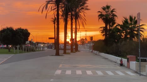 wide-view-of-cityscape-comes-to-life-with-palm-trees-and-parked-cars-adding-to-the-stunning-view