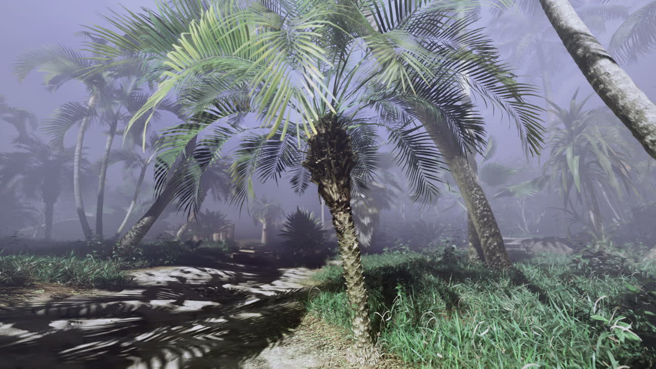 Serene tropical landscape with dense palms in a foggy atmosphere