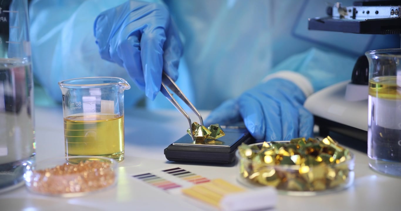 Researcher places pieces of shiny gold onto laboratory scales