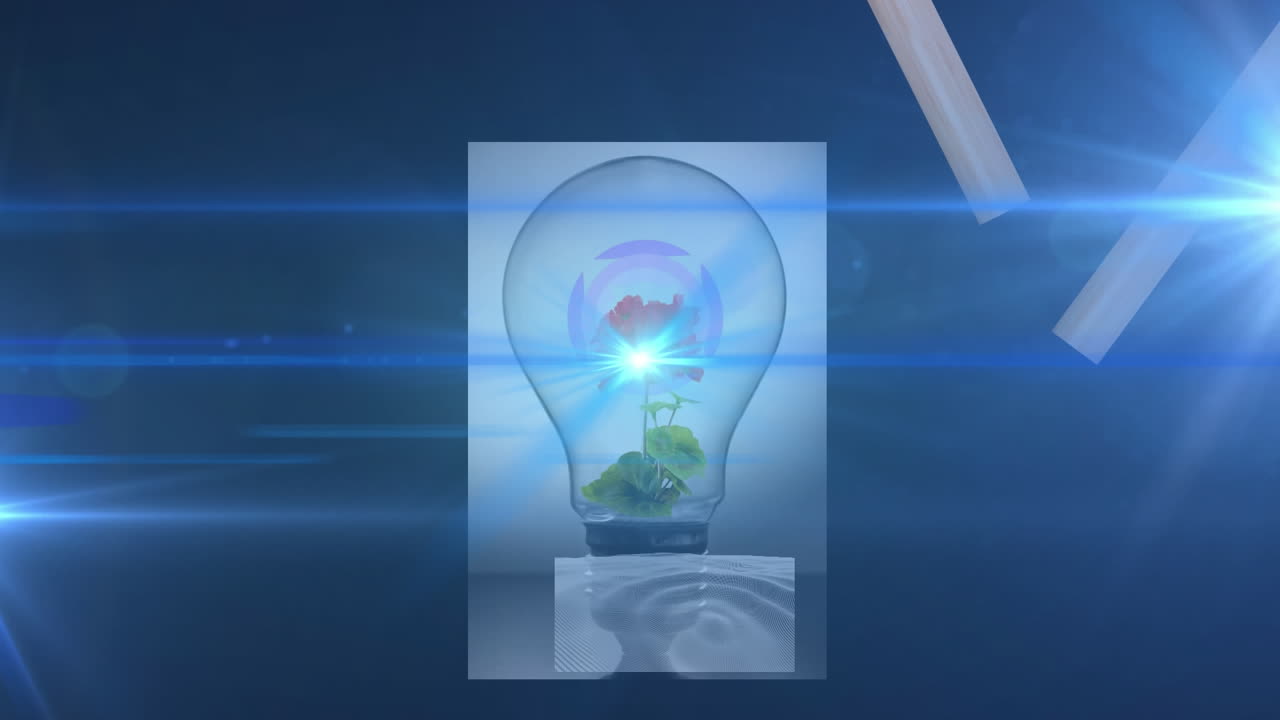 animación de rastros de luz sobre formas y bombilla sobre fondo negro