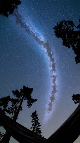 milky way above a hammock in the woods