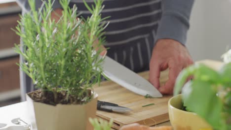 midsection of caucasian man standing in kitchen, cooking dinner, chopping rosemary