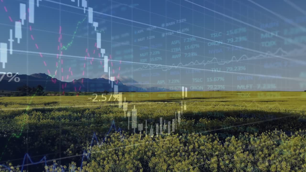 시골에서 금융 데이터 처리의 활성화