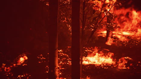 grandes llamas de incendio forestal