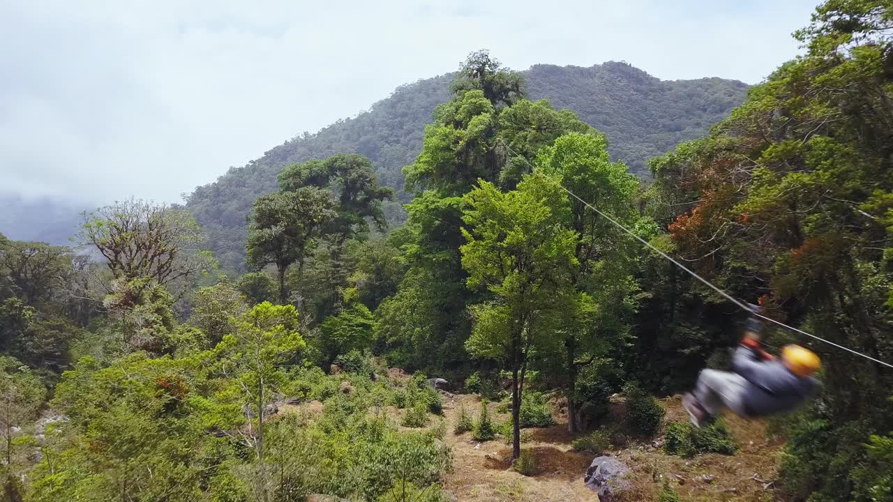 Turister som zipliner i trærne i jungelskogene i Panama, flyfoto.