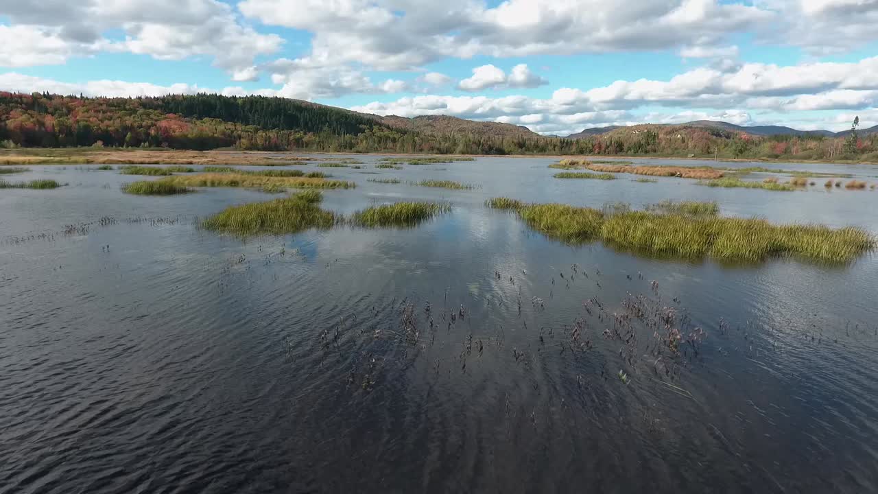 un gran pantano durante el otoño en canadá