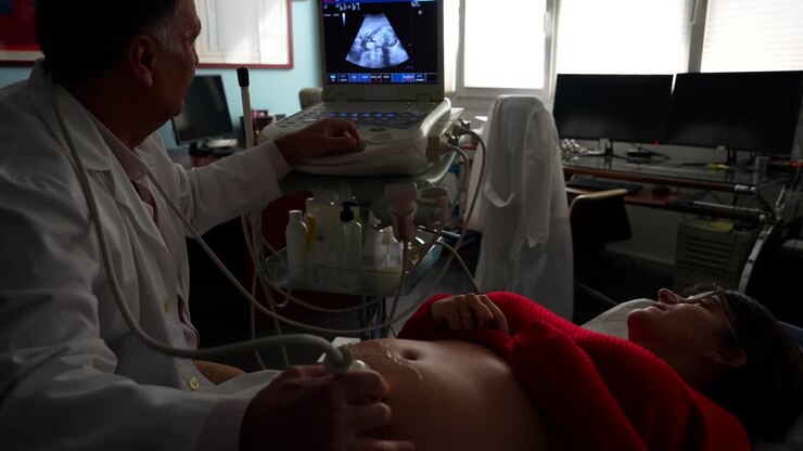 Gynecologist points to ultrasound screen showing fetal to pregnant patient