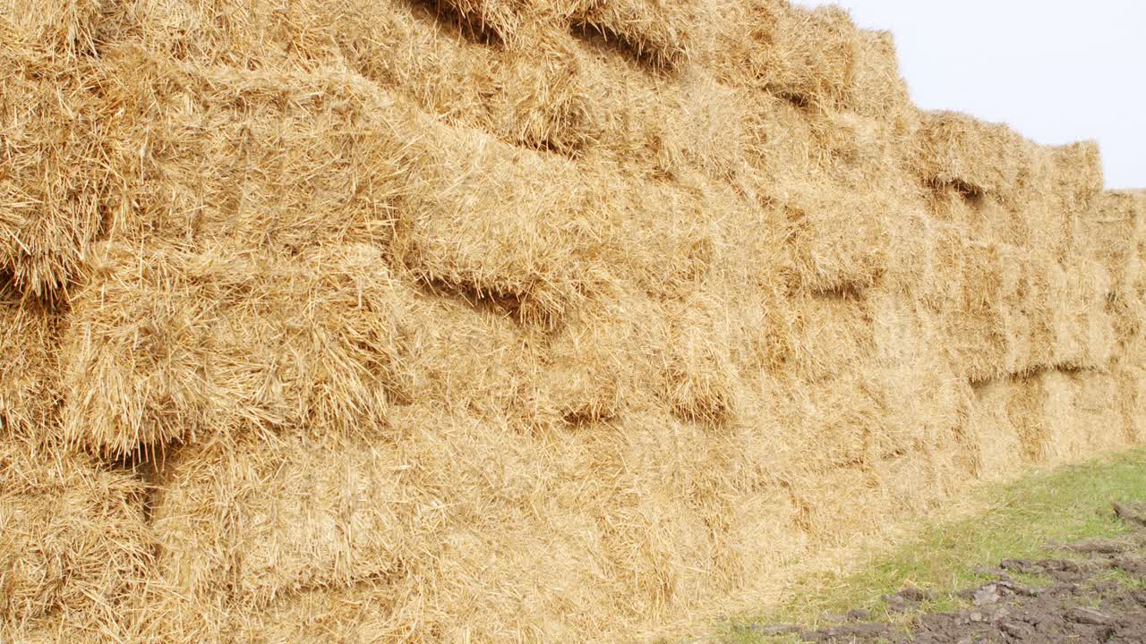 hayacks. pared al aire libre en un campo agrícola.