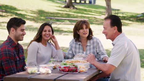 young couple and senior couple eating at a table in park