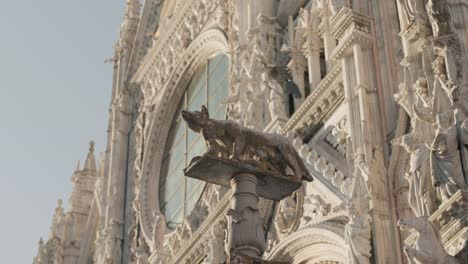 the mother wolf to romulus and remus in front of the duomo di siena in italy.