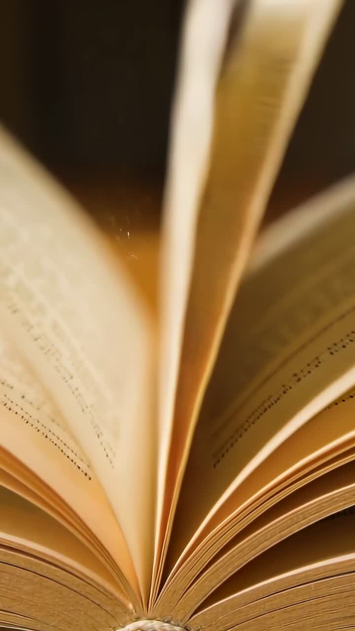 Primo piano di pagine di un vecchio libro che si sfogliano rapidamente con polvere