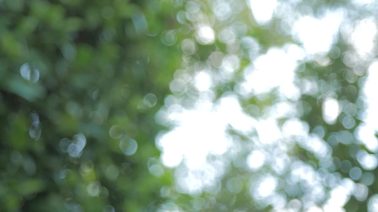 niño caucásico, jugando y dando cinco altas a un oso de peluche en un jardín soleado durante el verano