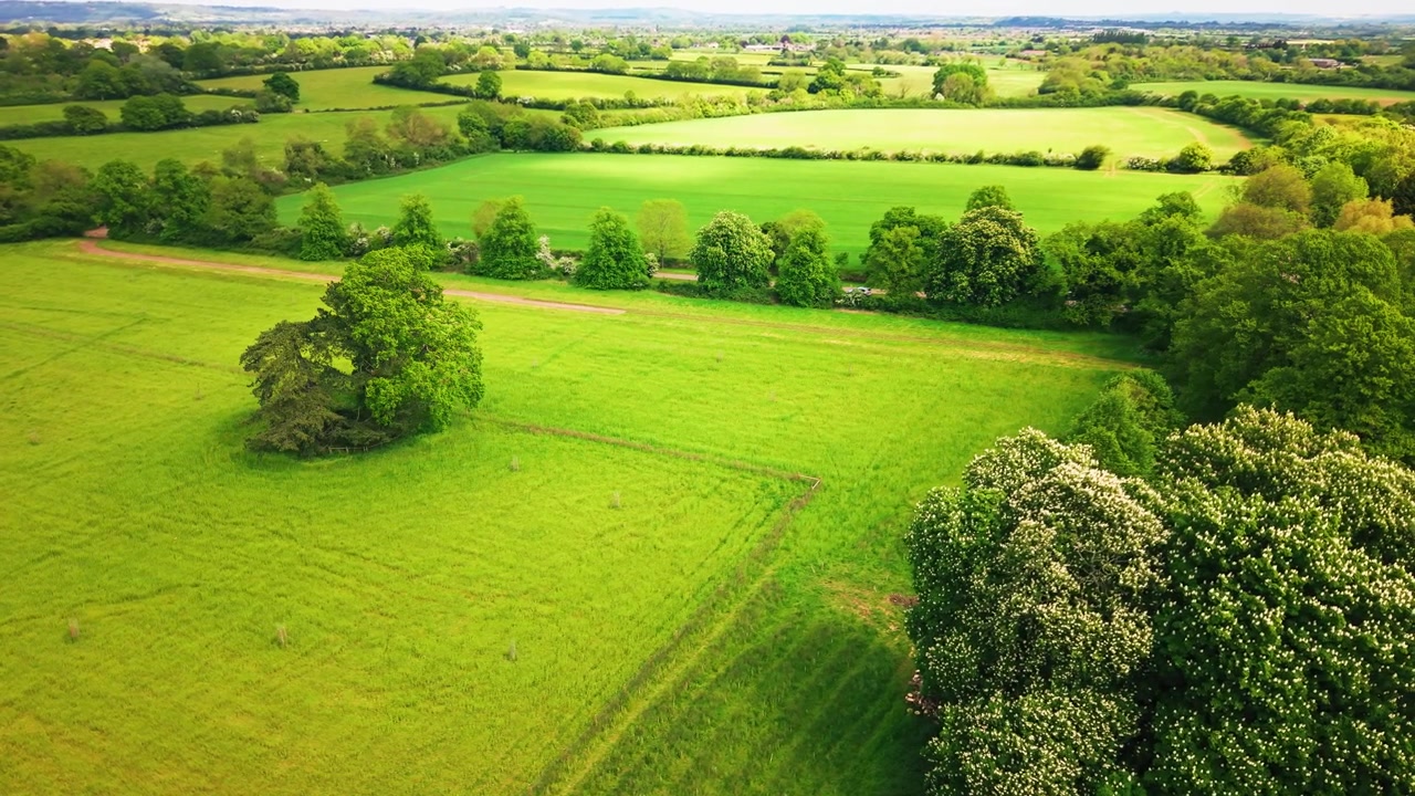 Aerial drone footage over green countryside fields, mature trees, hedgerows, woodland edges, and open farmland in rural England. The scenic high-angle shot shows peaceful agricultural land