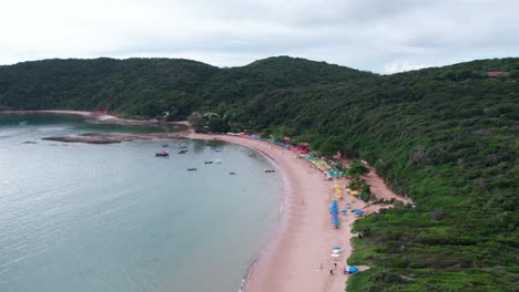 Bird's-eye-view-establishing-Tartaruga-Beach,-Búzios,-Brazil-with-umbrellas-on-the-sandy-beach,-lush-mountain-of-a-tropical-climate